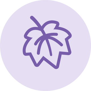 Hair Fall Treatment