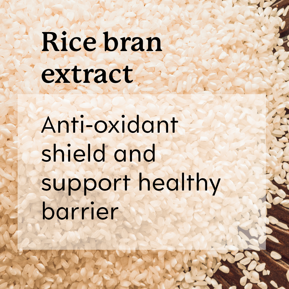 Rice bran extract about antioxidant shield and healthy barrier 