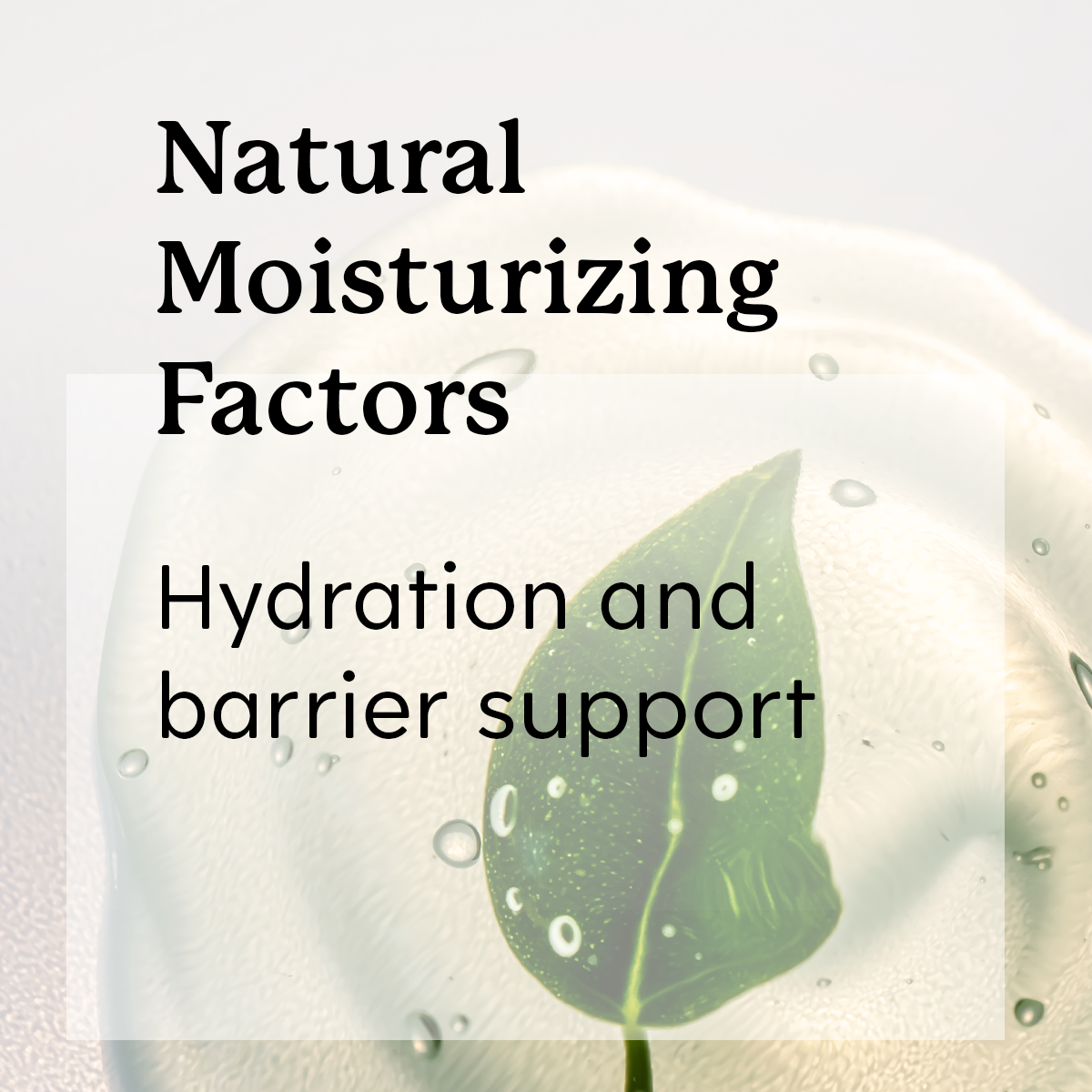 'Natural Moisturizing Factors Hydration and barrier support' with a leaf and droplets.